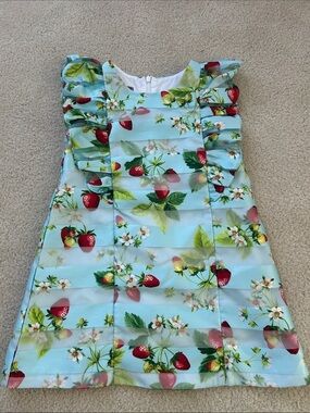 Girl size 4 strawberry dress lined like new nwot zipper back pippa & Julie brand